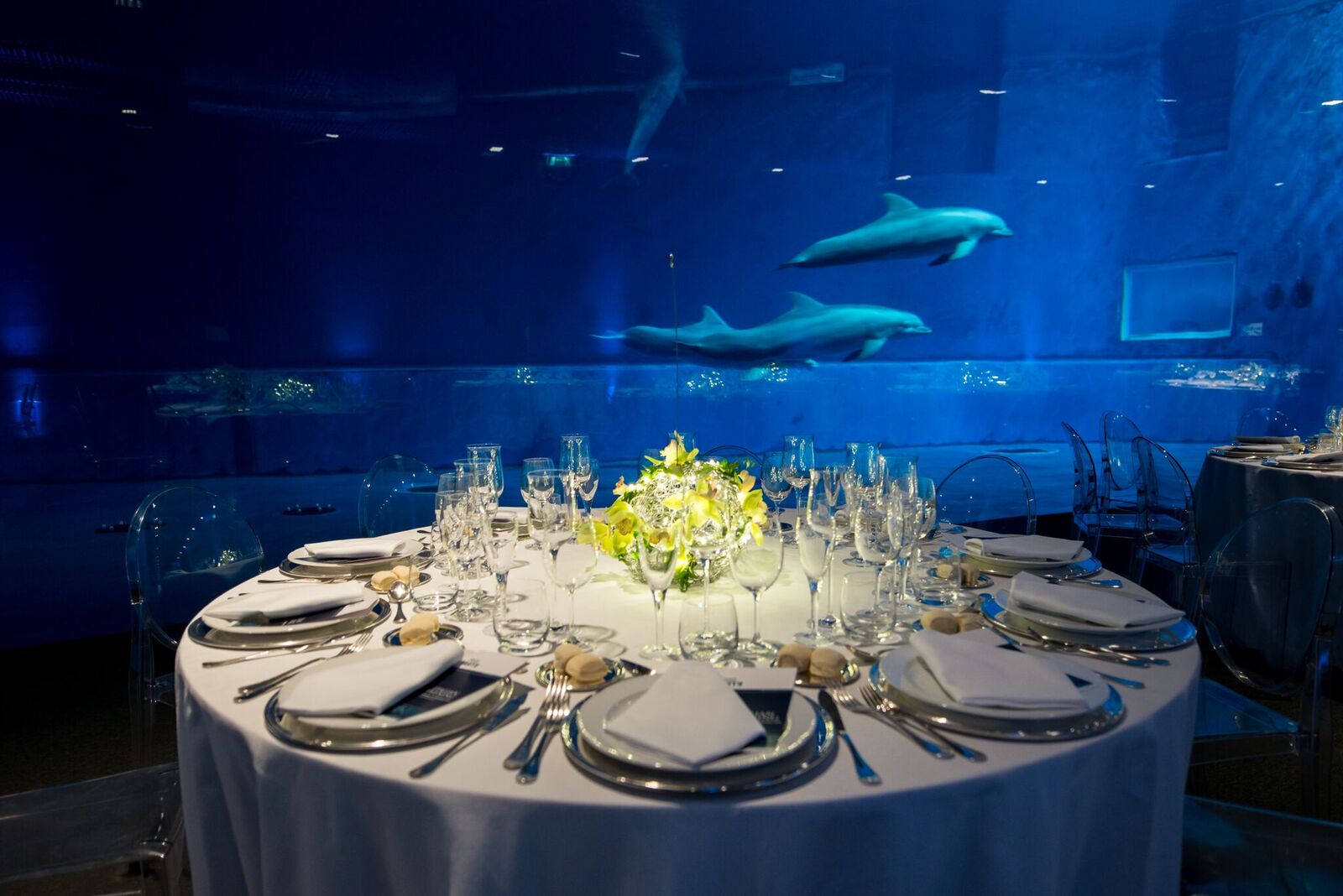 Matrimonio all'acquario di Genova