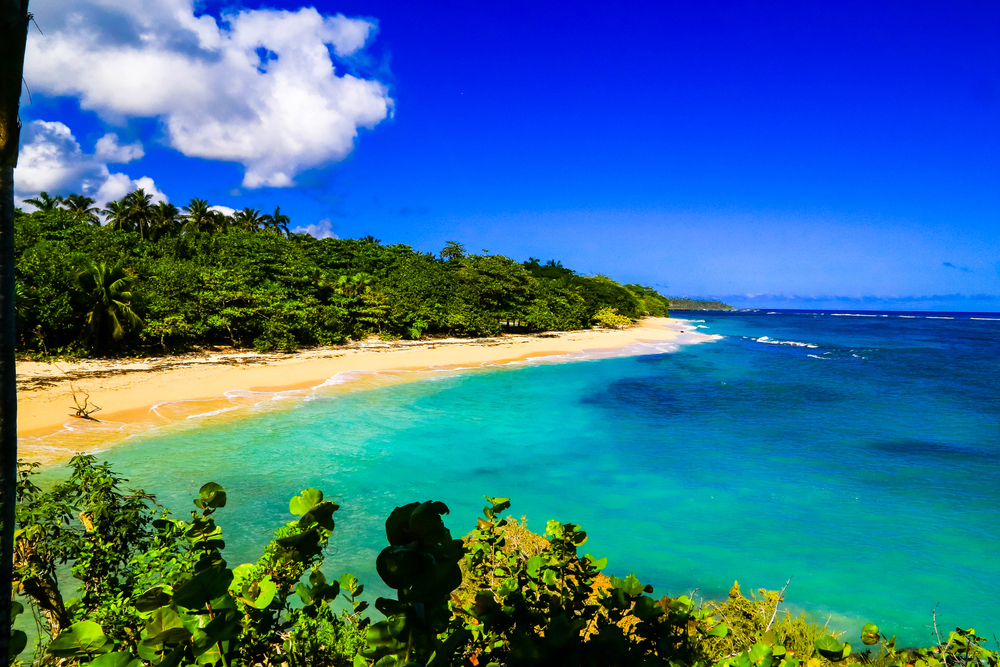 Playa Maguana