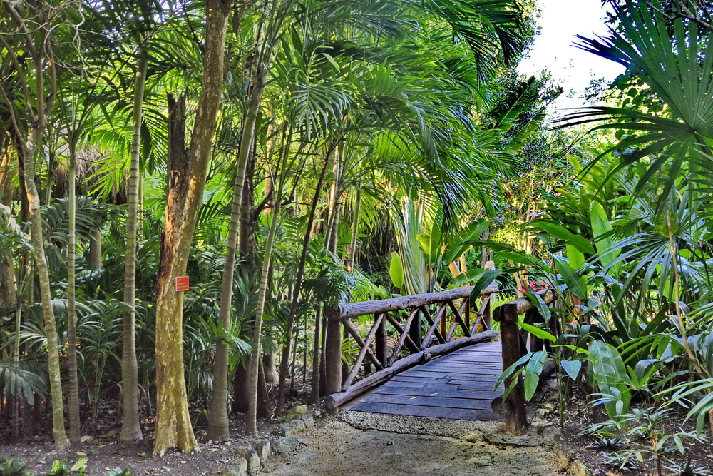 Chankanaab Park, Cozumel
