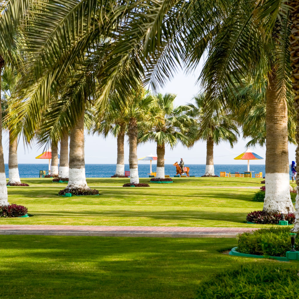  Mesaieed Sealine Beach