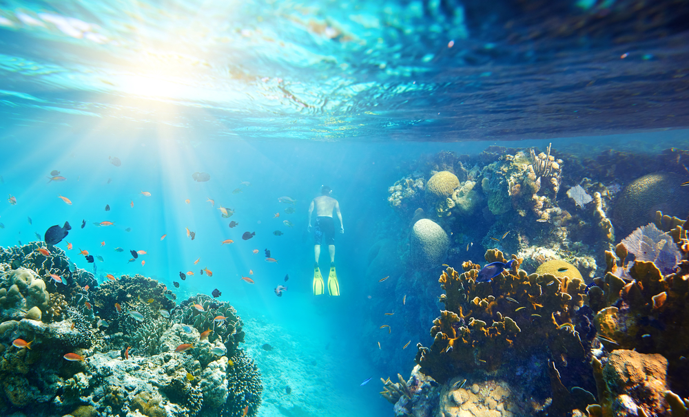 Snorkeling in Malesia
