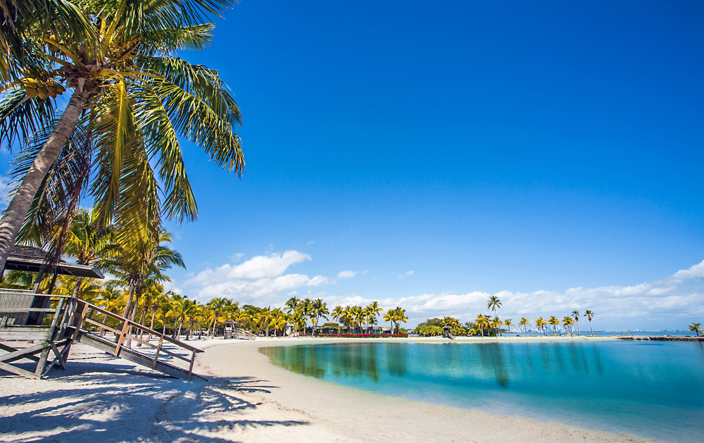 Matheson Hammock Park & Beach: un'oasi di pace 