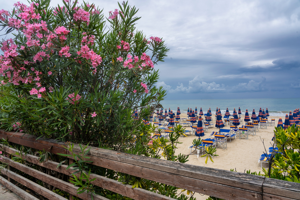 Giulianova Lido