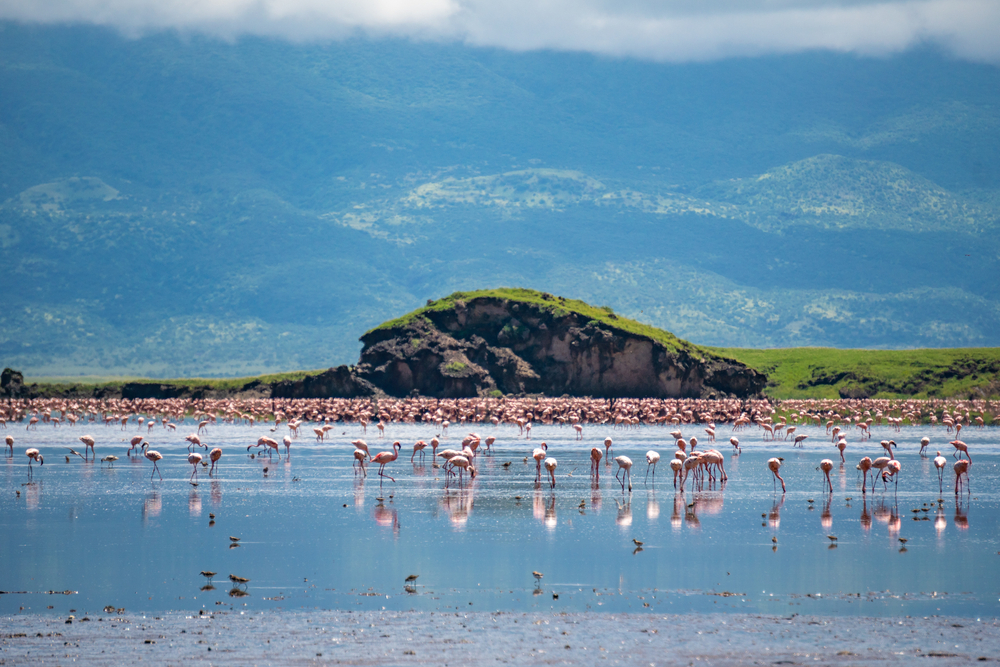 Lago Natron