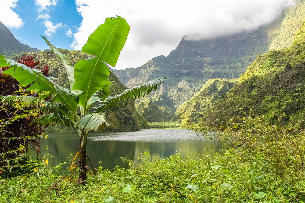 Valle di Papenoo - Tahiti