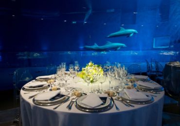 Matrimonio all'acquario di Genova