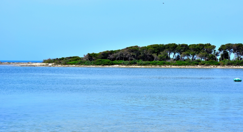 Spiaggia porto cesareo