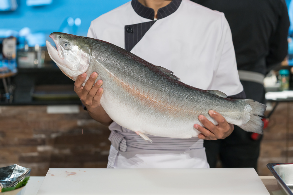 Cucina di mare