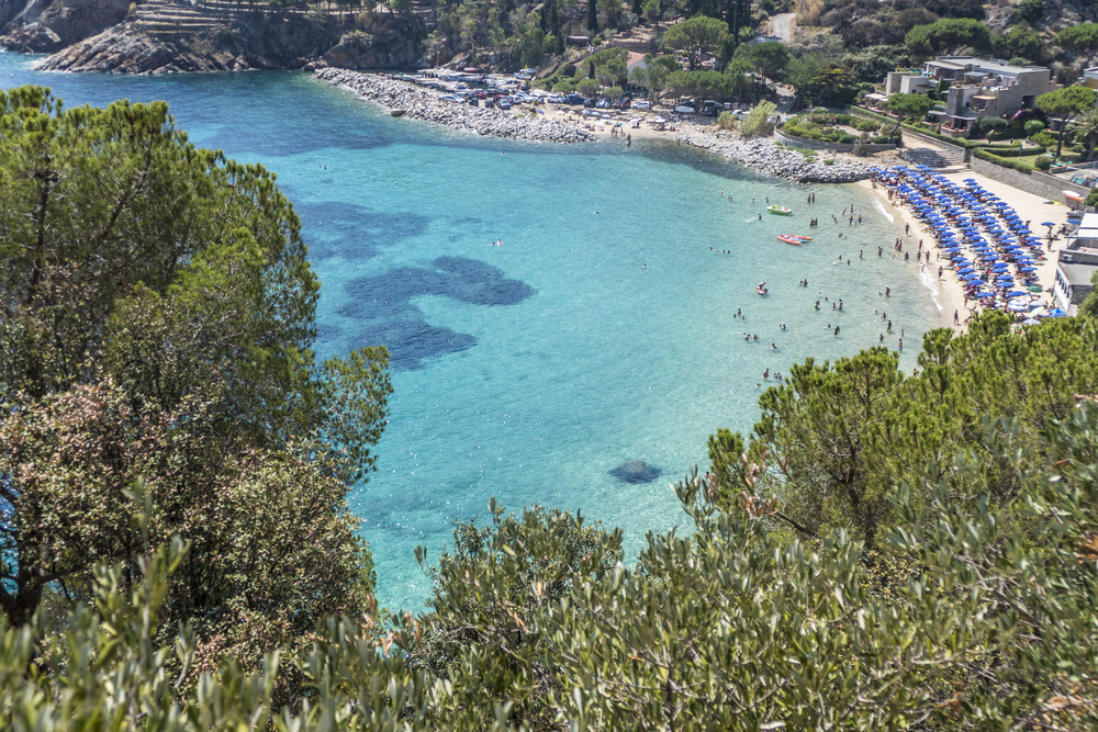 Isola del Giglio